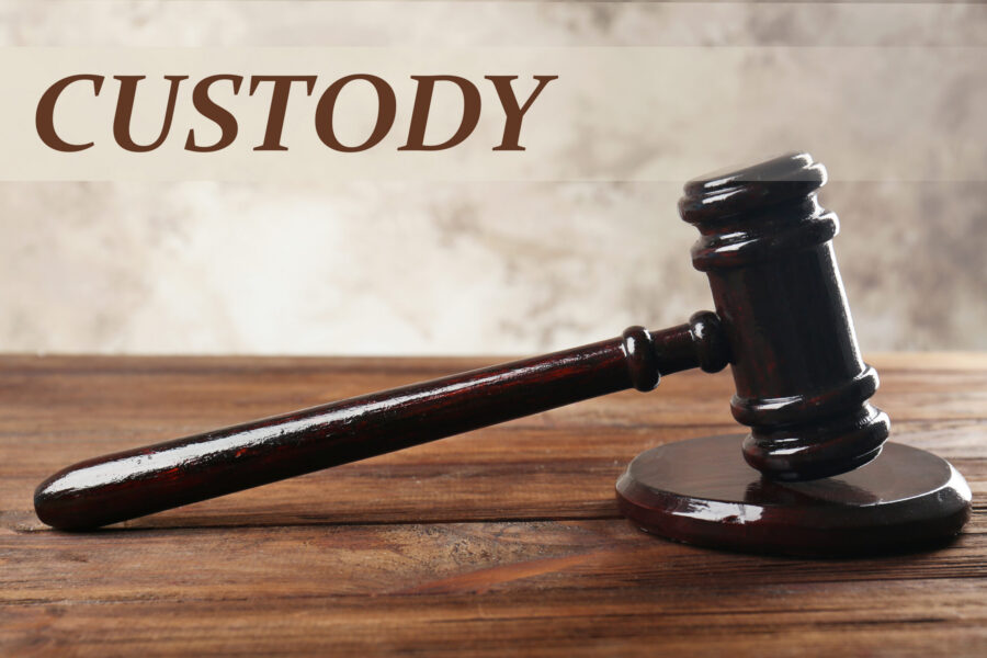 Can I Modify Custody In NYC If Winter Weather Or School Closures Disrupt Our Schedule?